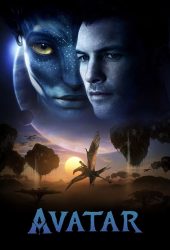 avatar.jpg