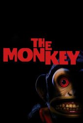 the-monkey.jpg