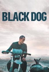 black-dog.jpg